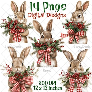 Winter Bunny Clipart: Forest Animals PNG Bundle (Digital Download)