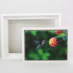 May include: A framed canvas print showing a hummingbird feeding from a cluster of red and yellow flowers. The print is set in a white wooden frame, with a second, empty frame behind it.