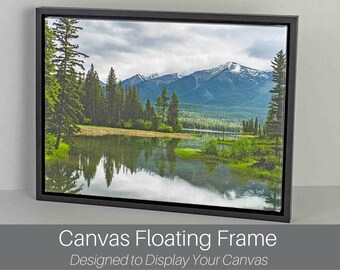 New Black Floating Tray Frame for your Existing Canvas Surround Framing Canvases 