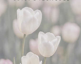 Carte « Sincères condoléances » – Tulipes blanches