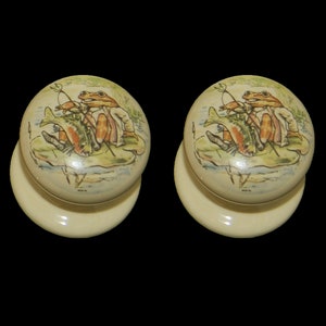 Könnte beinhalten: Zwei Keramikknöpfe mit cremefarbener Basis und einem runden, bunten Bild eines Frosches beim Angeln. Der Frosch trägt eine braune Jacke und hält eine Angelrute. Der Frosch sitzt auf einem grünen Seerosenblatt mit zwei Fischen.