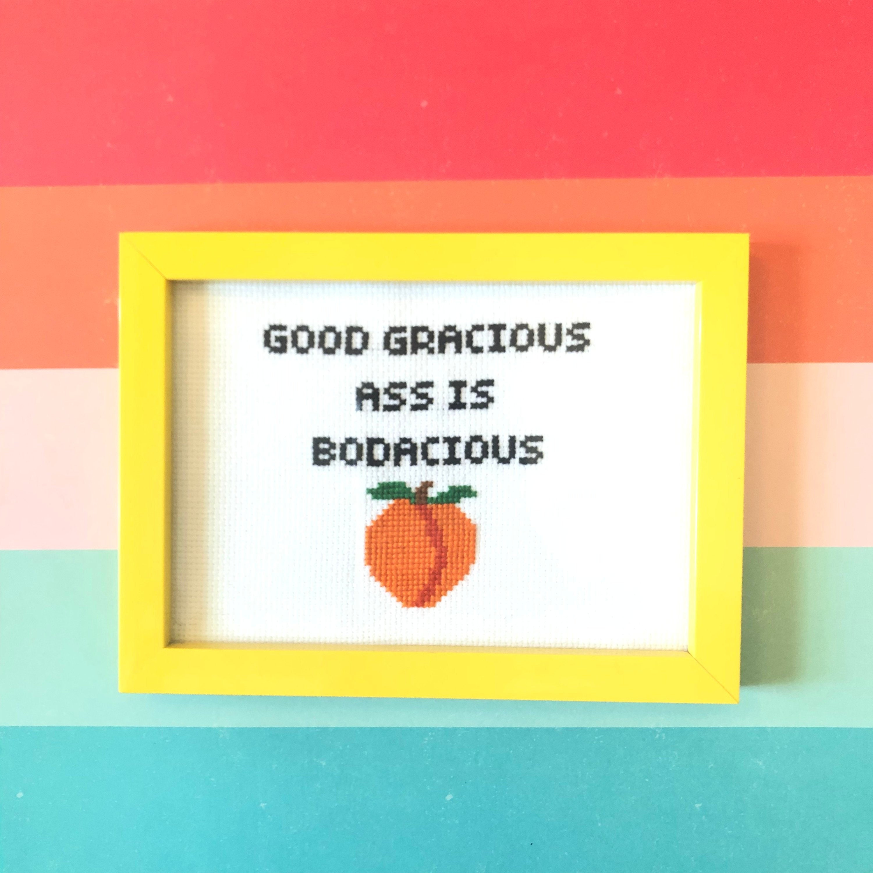 Rap Cross Stitch Pattern - "Good Gracious Ass is Bodacious!" - PDF Download - Great for beginners!