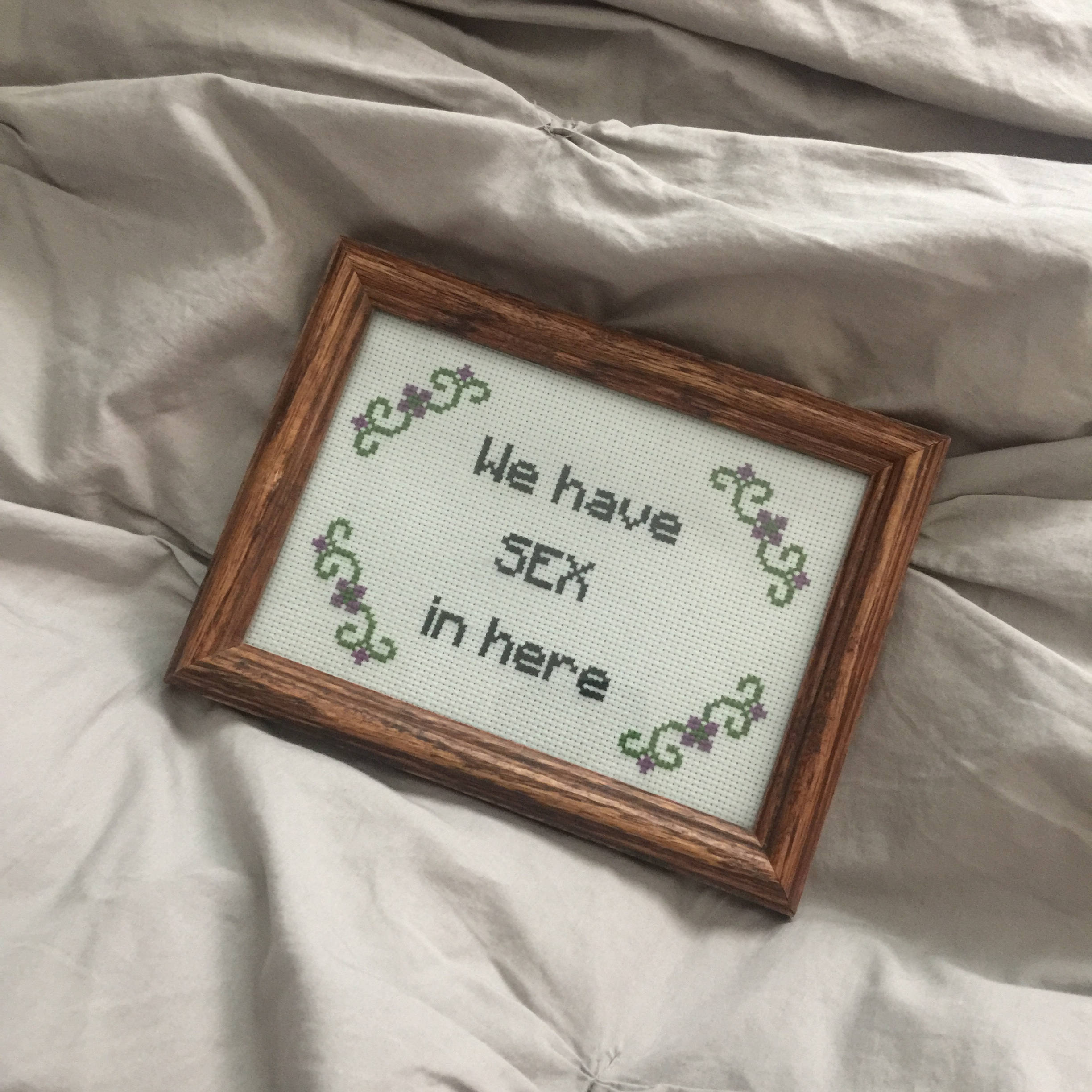 Dirty Cross Stitch Pattern - PDF Download - "Wir haben Sex in here" - Ideal für Anfänger!