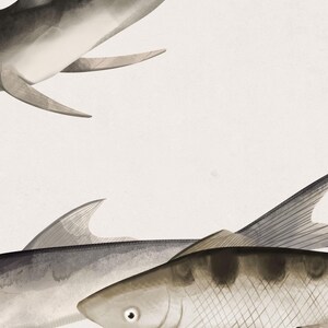 Fish Wallpaper Mural, Neutral Sardines Wall Design, Minimalist Pond Panels, Ready to Install, Peel and Stick or Traditional image 10