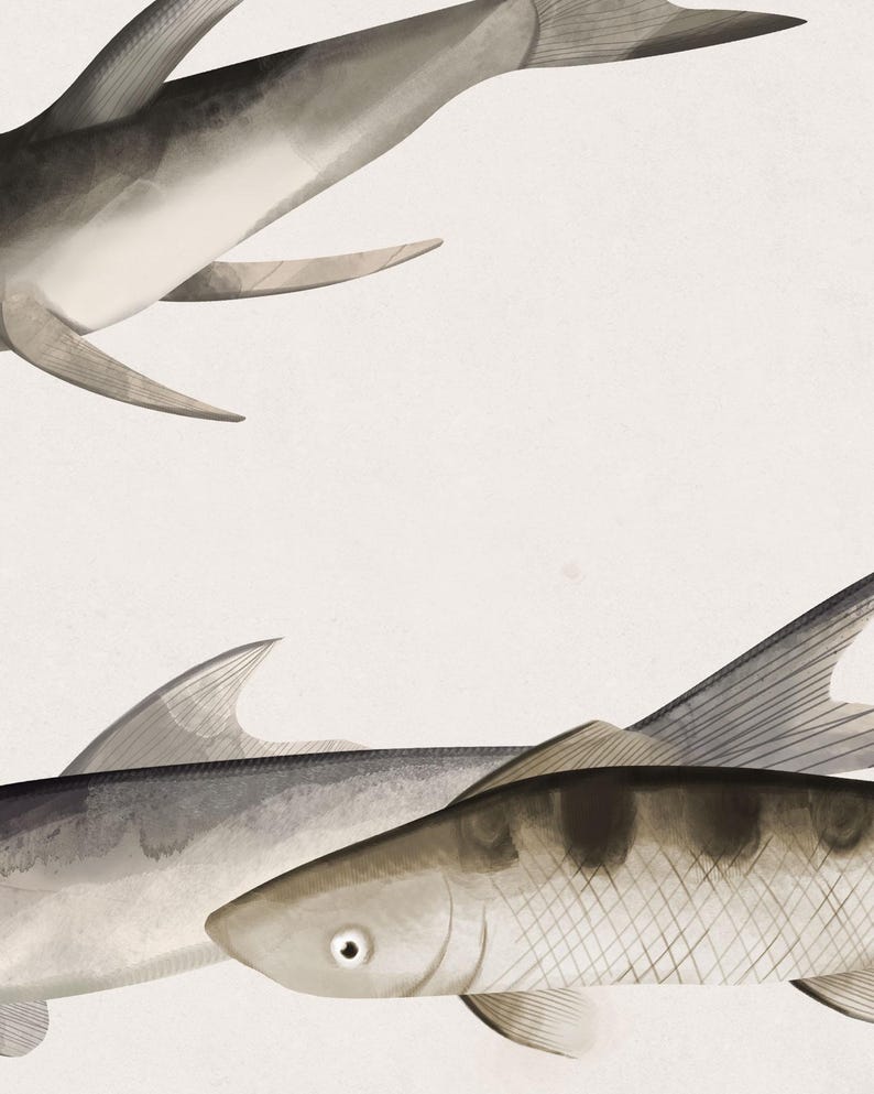 Fish Wallpaper Mural, Neutral Sardines Wall Design, Minimalist Pond Panels, Ready to Install, Peel and Stick or Traditional image 10