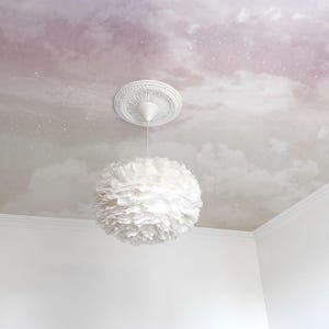 May include: A white, spherical pendant light with a feathery texture hangs from a white ceiling medallion. The ceiling is painted with a cloudy sky design in shades of pink, purple, and white, creating a dreamy atmosphere.