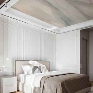 Beige Abstract Silk Texture Wallpaper Roll, Neutral Minimal Interior Decor, 1-101-2 immagine 4