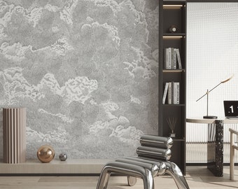 Floating clouds wallpaper, modern abstract wall covering, sky wallpaper for living room,  abstract cloud wallpaper, grey white wallpaper