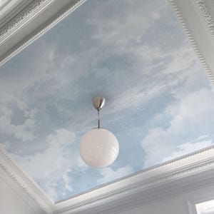 May include: A room ceiling painted with a sky scene, featuring clouds and stars. A white globe light hangs from the centre. The ceiling is framed by white moulding.