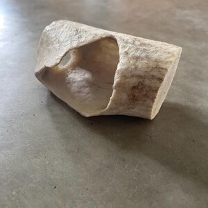 Unique Antler Piece