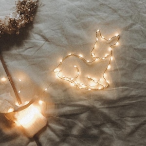 Luminoso, gama, cervatillo, ardilla, animales del bosque, regalo de nacimiento, decoración de pared, habitación del niño, regalo de nacimiento, luz, luz nocturna