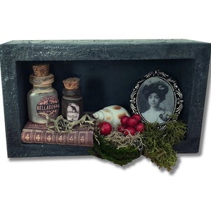 Miniature Haunted, Witch, Spooky Shadow box, Shelf - Apothecary, Magic Spells - Grey
