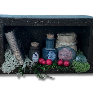 Miniature Haunted, Witch, Spooky Shadow box, Shelf - Apothecary, Magic Spells - Brown