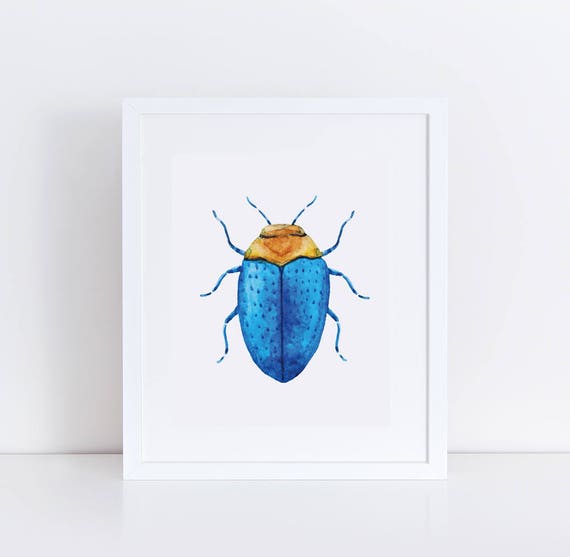 Printable Insect Artwork / Watercolor Beetle Instance / Blue Bug Wall Artwork Print / Insects Nursery Print / Insect Small children Place Artwork / Mother nature Nursery picture relating to Printable Bugs referred to as Printable Insect Artwork / Watercolor Beetle Case in point / Blue Bug Wall Artwork Print / Insects Nursery Print / Insect Youngsters House Artwork / Mother nature Nursery