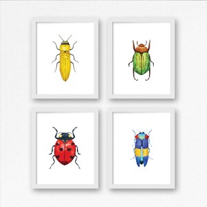 Printable Bug Art Set Of 4 / Watercolor Bugs Nursery Print / | Etsy