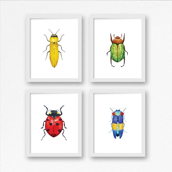 Printable Bug Artwork Fastened of 4 / Watercolor Insects Nursery Print / 8x10 Insect Wall Artwork Print / Insect Youngsters Place / Character Nursery / Ladybug Beetle picture relating to Printable Bugs identify Printable Bug Artwork Preset of 4 / Watercolor Insects Nursery Print / 8x10 Insect Wall Artwork Print / Insect Children Area / Mother nature Nursery / Ladybug Beetle