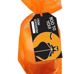 May include: An orange organza gift bag tied at the top with a matching ribbon. A black tag with the words "BOO TO YOU!" and "FROM STATEROOM:" is attached. The tag features a Halloween-themed graphic.