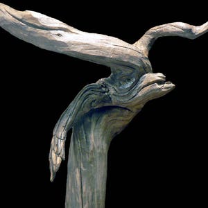 Sculpture naturelle en bois flotté de Loire Minotaure image 2