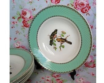 6 zabytkowych francuskich talerzy fajansowych Badonviller do zupy Wyprodukowano we Francji Miski na makaron Sałatka Ptaki Wzór Złotego Obszycia Naczynia ceramiczne Naczynia gliniane Retro