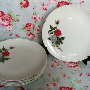 6 millésimes Français Moulin Des Loups « Rosemay » Assiettes dessert romantique Rose Petite Assiette Made in France Retro Faience Flower Pattern Mid Century