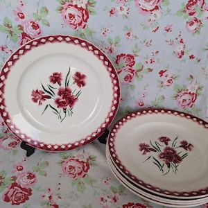 5 Digoin Sarreguemines Mignardise Dinner Plates Iconic Plate Made in France Vintage French Carnations Faience Flower Pattern Airbrush