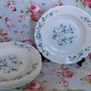 Lot de 6 assiettes creuses à soupe Veronica Arcopal vintage françaises, lot de 6 myosotis bleu, fabriqué en France, verre de lait résistant aux micro-ondes - France