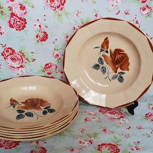 6 Vintage French Digoin Sarreguemines Soft Pink Deep Soup Plates Soft Salmon France Pasta Salad Ceramic Dishes Flower Roses Terracota Salmon