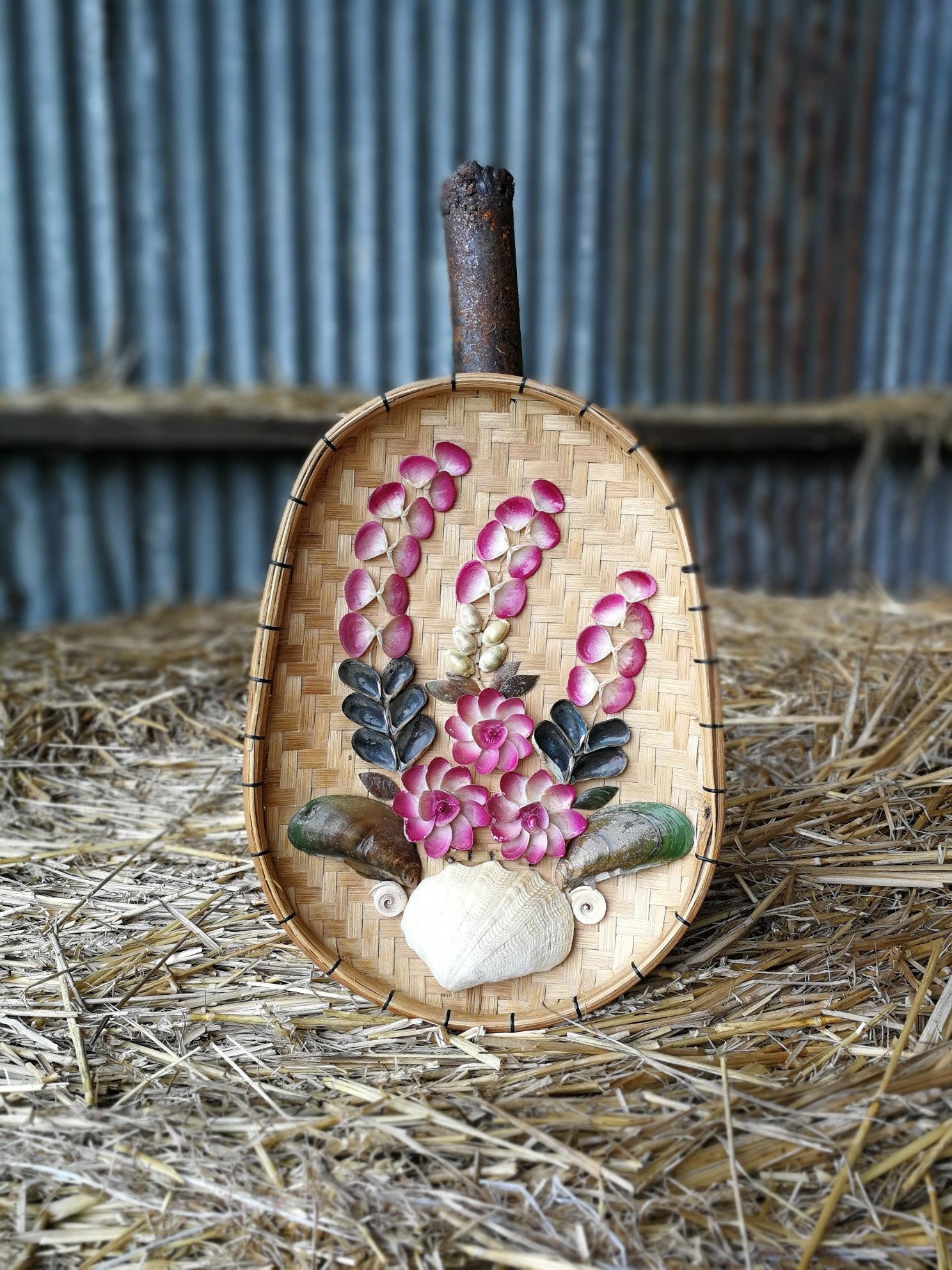 Mignon Vintage Rose Coquillage Décor Ornement Cadre Rare Milieu Du Siècle Coloré Sea Shell Life Trop