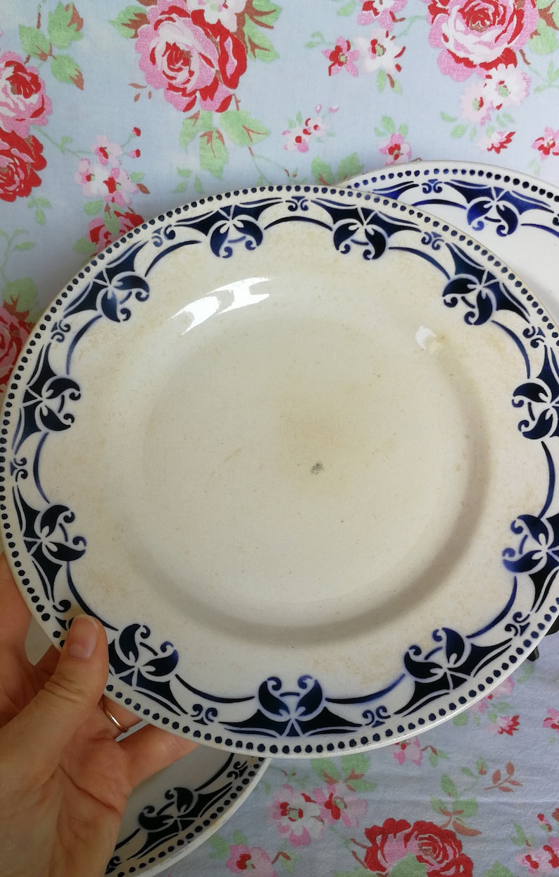 Six French Ironstone dinner plates St Amand