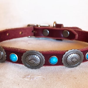 May include: A brown leather dog collar with silver and turquoise accents. The collar has a decorative design with round silver medallions and turquoise stones.