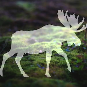 Moose Decal | Moose Silhouette | Car Decal | Laptop Decal | Animal Sticker | Tumbler Decal | Custom Stickers | Canadian Decal | PNW | 292