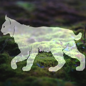 Bobcat Decal, Car Decal, Mountain Stickers, Laptop Decal, Adventure Decal, Tumbler Decal, Car Sticker, Animal Vinyl Decal, Bobcats | 267