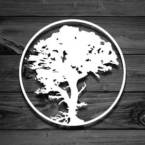 Tree Decal, Car Decal, Outdoor Decal, Adventure Decal, Tree of Life Decal, Forest Decal, Window Decal, Tumbler Decal, Camping Decal | 147