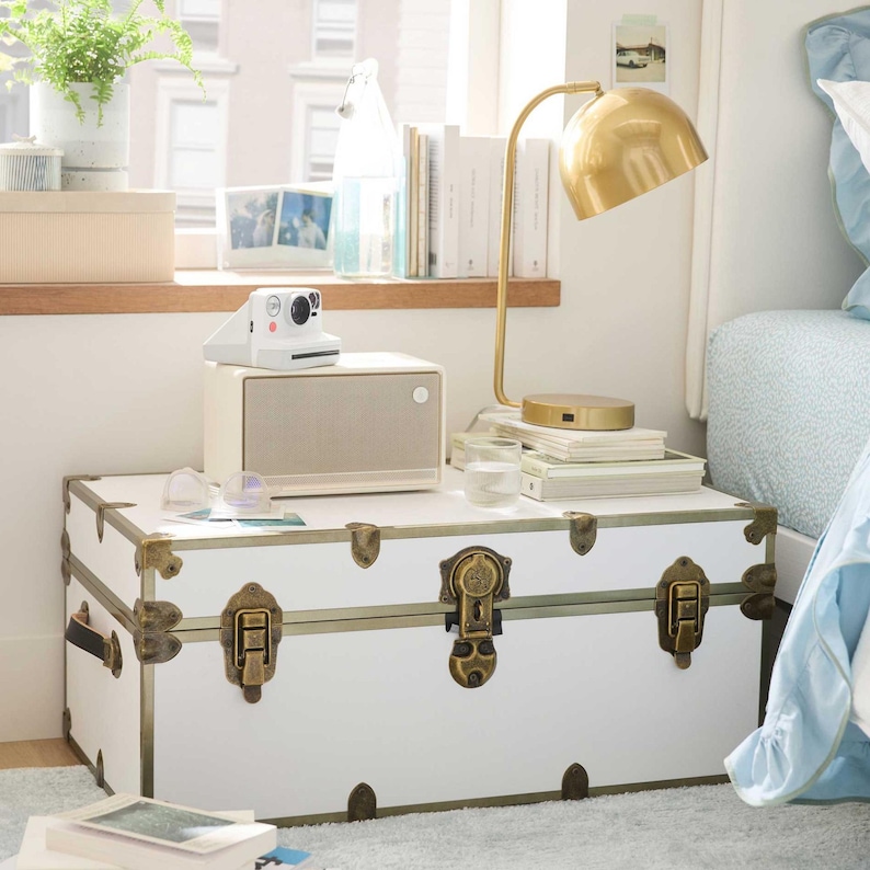Small Rhino Home Storage, Camp and College Dorm Trunk with Antique Brass Trim bild 1