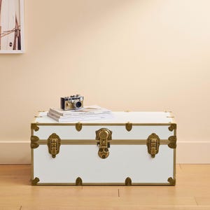 Small Rhino Home Storage, Camp and College Dorm Trunk with Antique Brass Trim bild 12