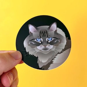 May include: A sticker featuring a close-up of a gray and white cat with blue eyes. The cat is looking directly at the viewer.