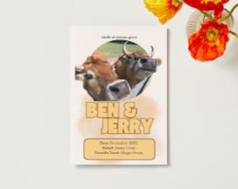 Folleto educativo sobre las vacas / Descarga digital en formato PDF / Datos curiosos y guía sobre el cuidado de las vacas