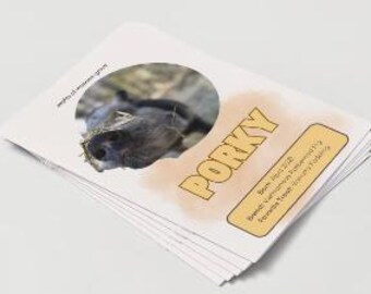 Folleto educativo sobre los cerdos / Descarga digital en formato PDF / Datos curiosos y guía sobre el cuidado de los cerdos