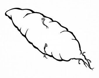 Download Sweet Potato Svg Etsy