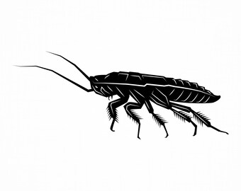 Download Roach Svg Etsy