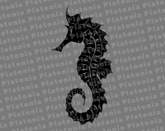 Seahorse svgSeahorse clipartSeahorse svgSeahorse silhouetteSeahorse cricutcut filesclip artdigital downloaddesignssvg