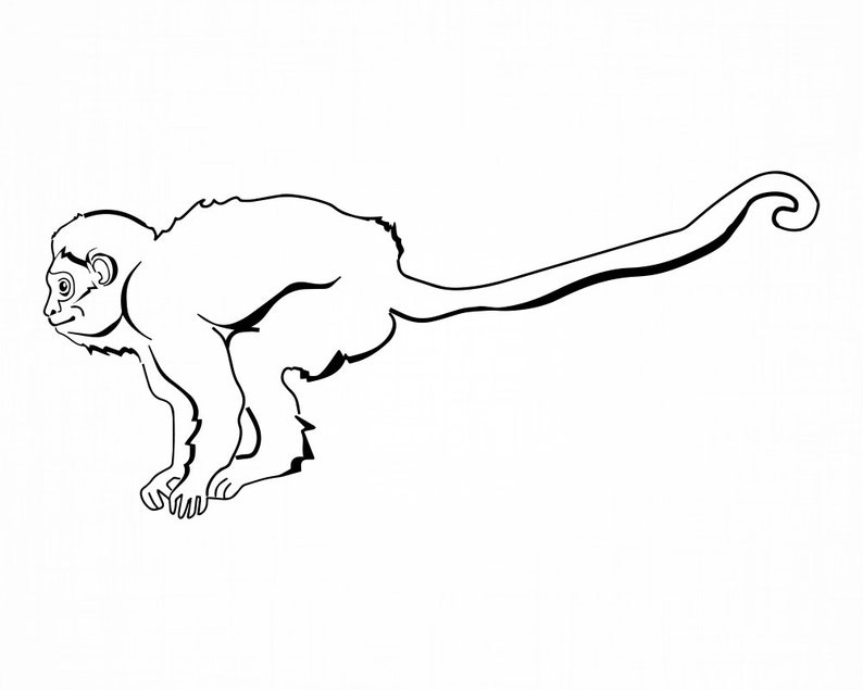 Free Free 275 38 Baby Monkey Svg SVG PNG EPS DXF File