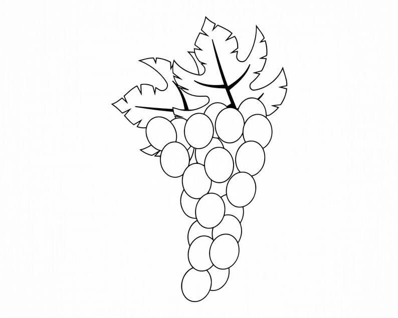 Grapes 7 Svg Grapes Svg Fruit Svg Grapes Cut Files Grapes ...