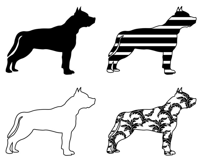 Download American Staffordshire Terrier Svg Bundle Png Dog Design Pet Canine Logo Mascot Clipart Vector Cut Files Cricut Eps Dxf Clip Art Art Collectibles Lifepharmafze Com