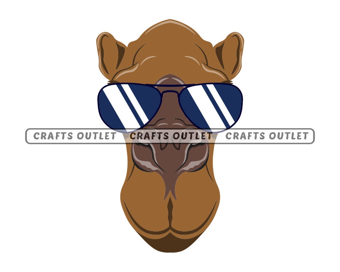 Cool Camel In Aviator Sunglasses SVG PNG and JPG Animal Mascot Etsy