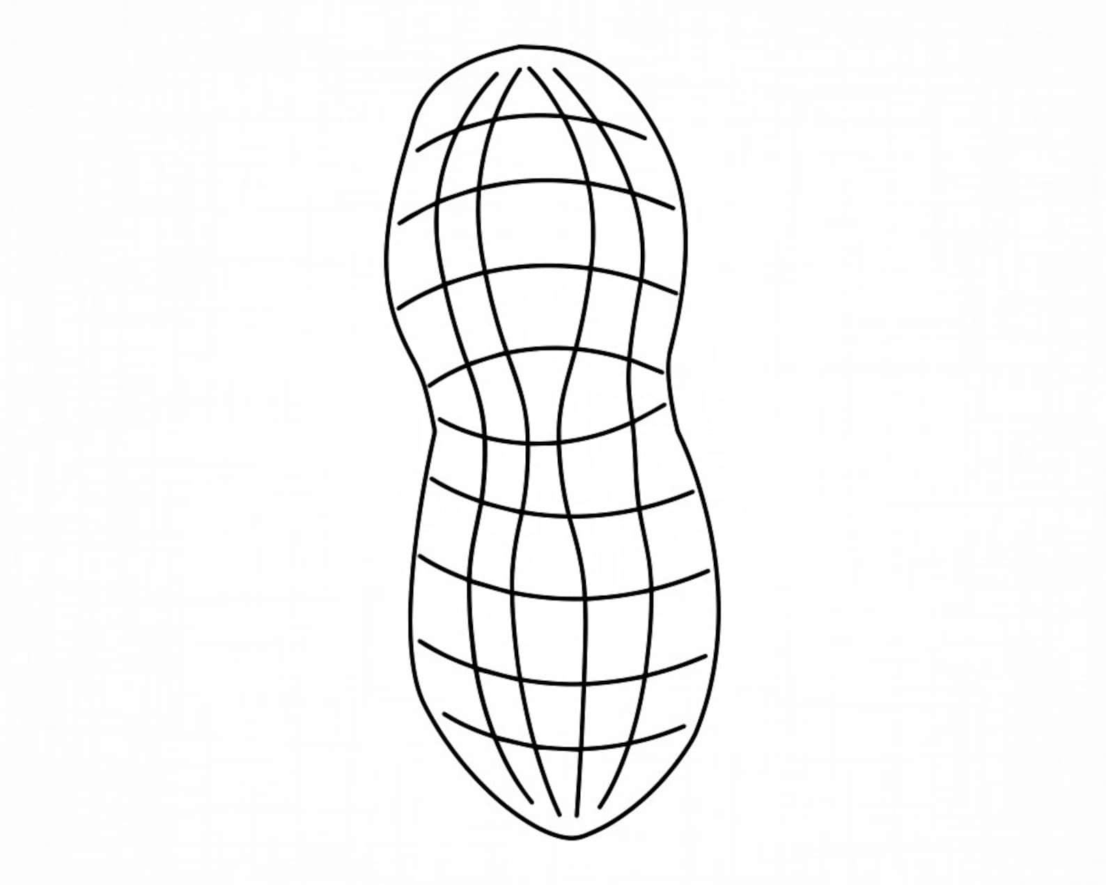 Peanut Outline Svg Peanut Svg Peanut Cut Files Peanut Etsy