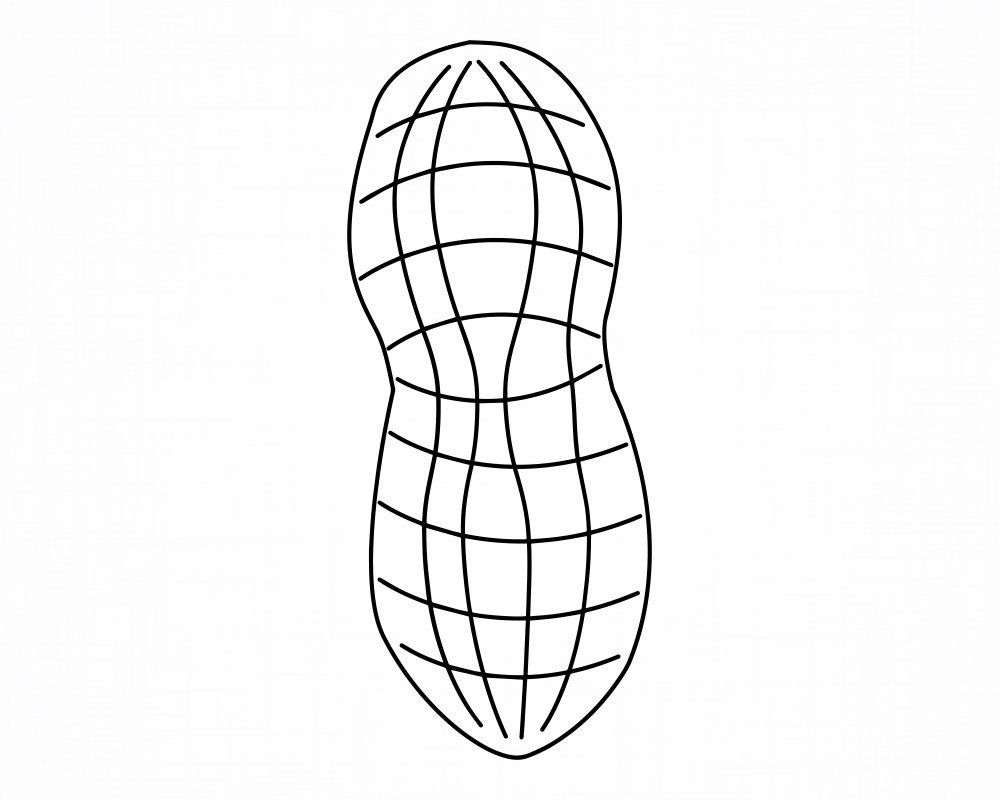 peanut-outline-svg-peanut-svg-peanut-cut-files-peanut-etsy