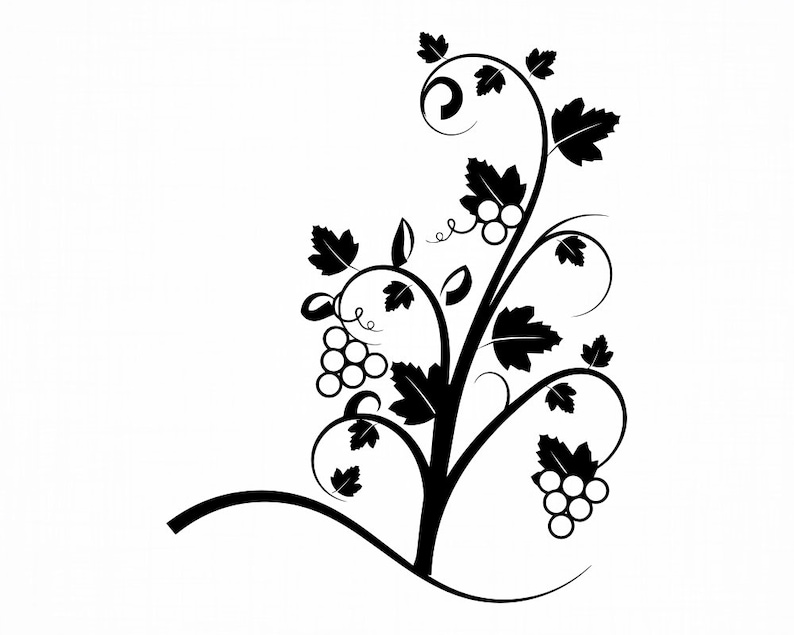Download Clip Art Fruit Svg Grape Vine Svg Grape Vine Png Grape Vine Clipart Dxf Grape Vine Files For Cricut Pdf Eps Grape Vine Cut Files Art Collectibles