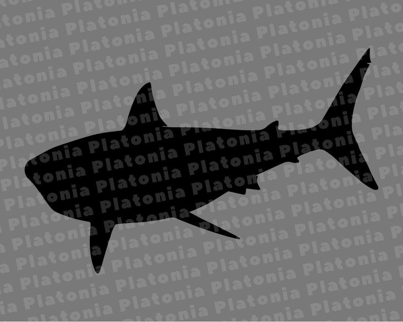 Free Free 250 Great White Shark Svg Free SVG PNG EPS DXF File