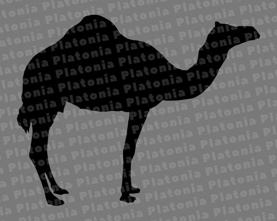 Download Camel 2 Svg Desert Animal Nature Travel Svg Clipart Cut Files Etsy